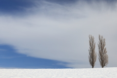 空の白、雪の白