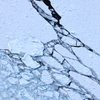 流氷と足跡