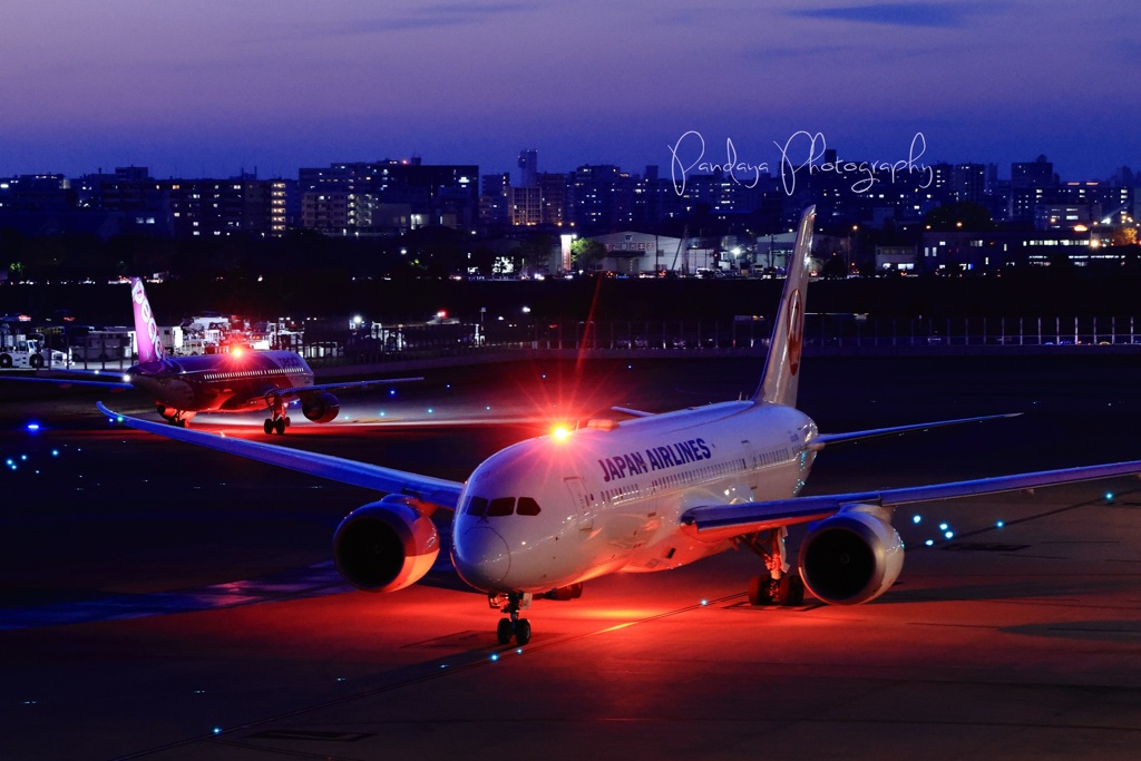 日没の福岡空港