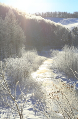 里川の冬