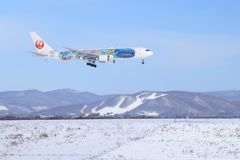 JAL Fantastic Journey Express