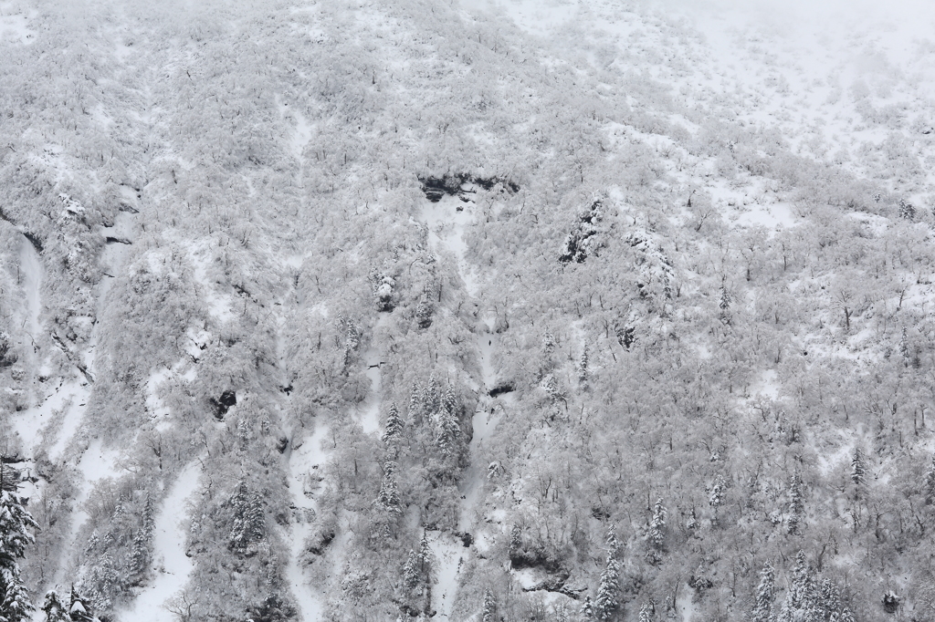 雪山の景色