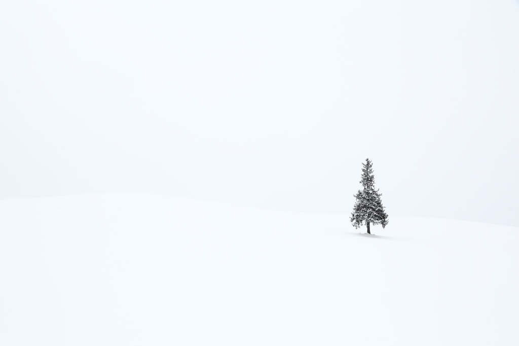 White Christmas