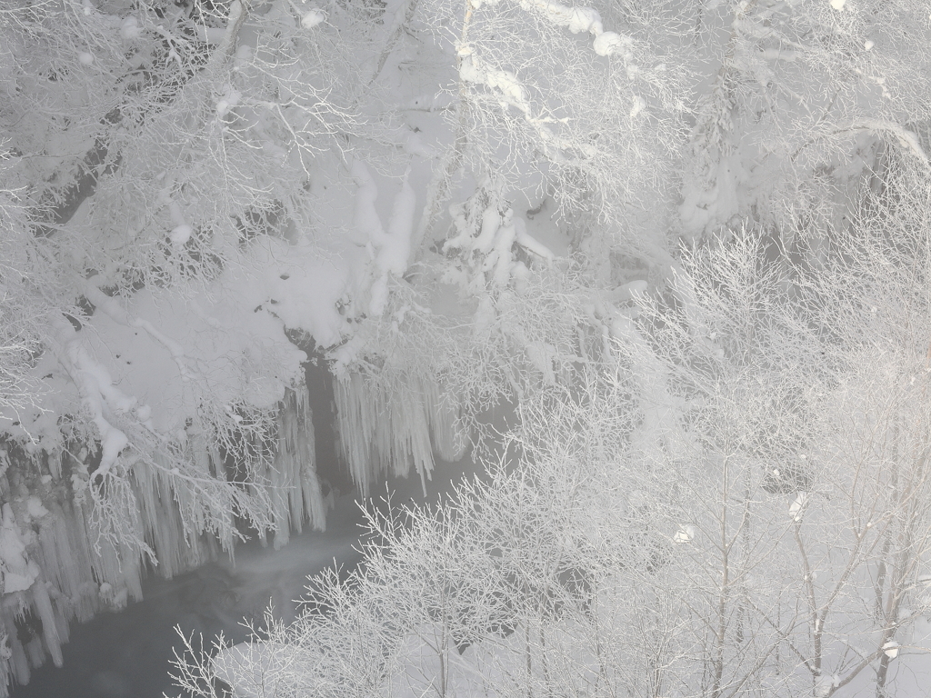 霧流れる樹氷の川