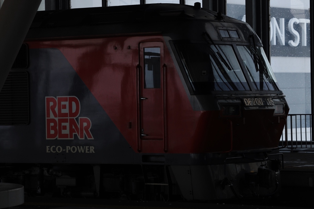RED BEAR