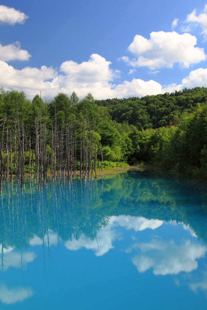 blue-green-blue