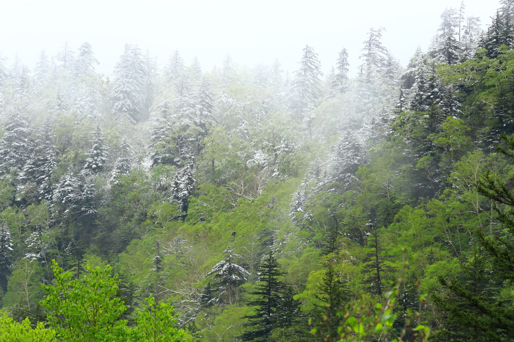 Snow scene in June