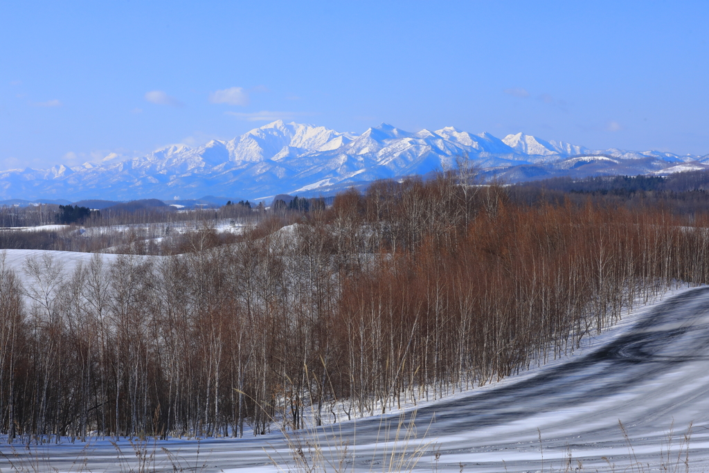 融雪剤の道と白樺の芽吹きと芦別岳の雪景