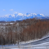 融雪剤の道と白樺の芽吹きと芦別岳の雪景