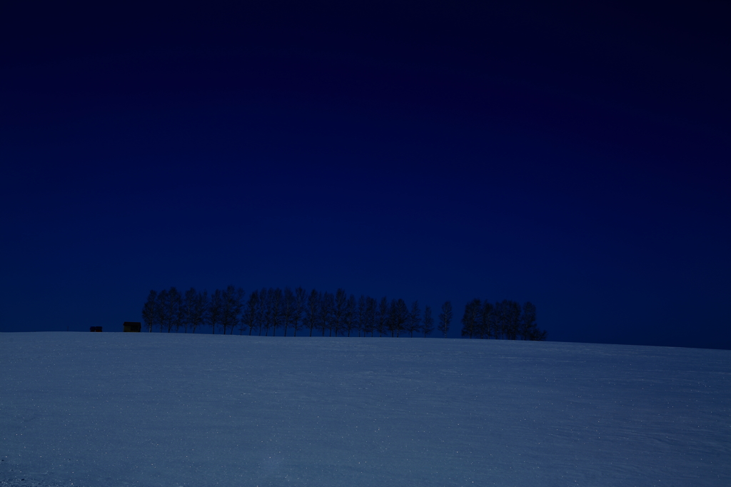 雪原の星（拡大すればそれっぽく見えます(>_<)）