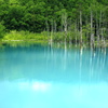 Cerulean blue pond