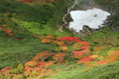 雪渓と紅葉