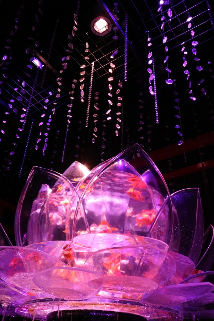 金魚鉢