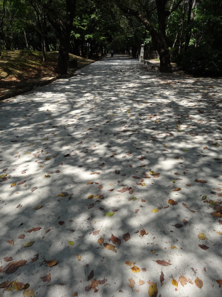 散歩道