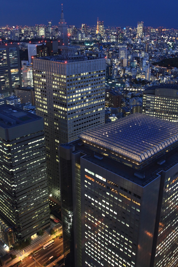 都庁からみる景色