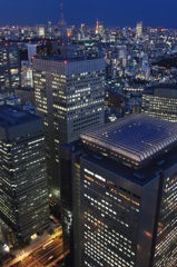 都庁からみる景色