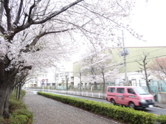 桜急便