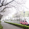 桜急便