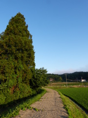 田舎の風景