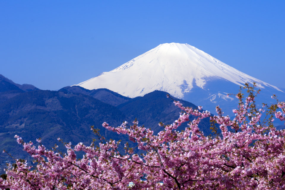 Beautiful M.T Fuji !