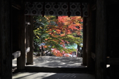 山門の紅葉