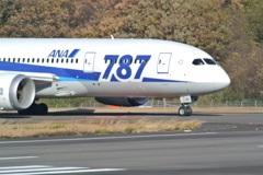 ANA787