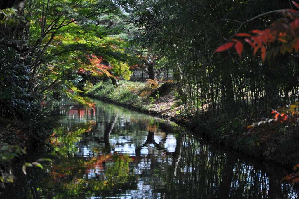紅葉の栗林公園　２