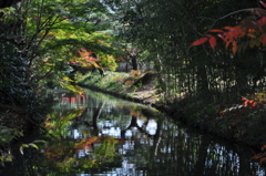 紅葉の栗林公園　２