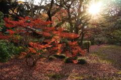 六義園