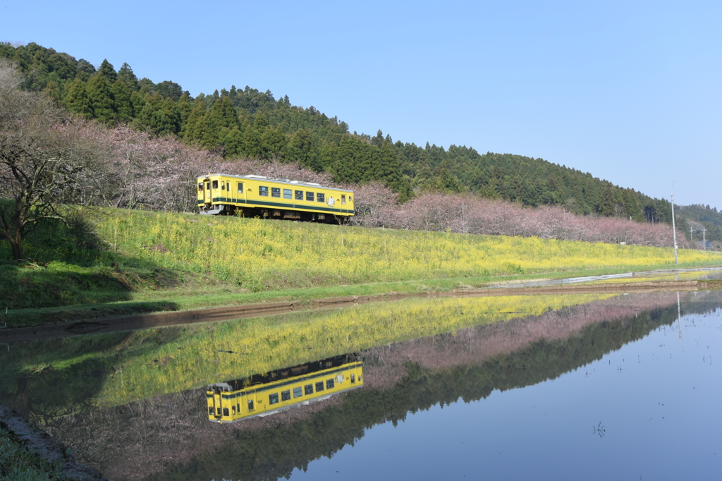 ローカル線の春
