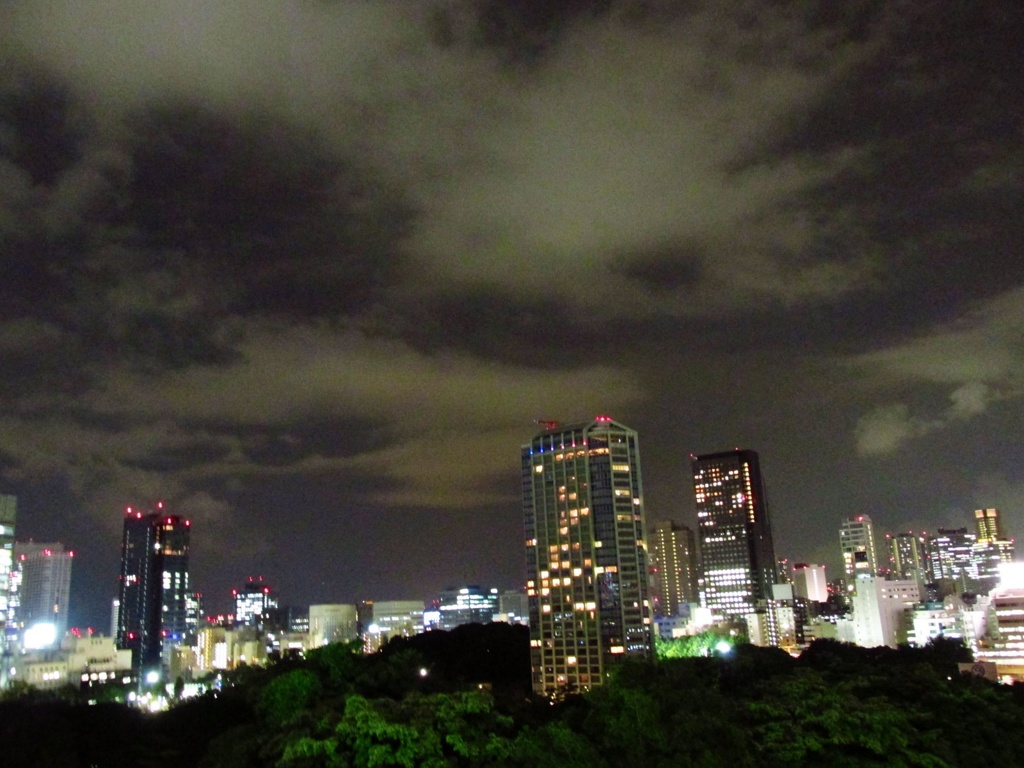 東京タワーからの夜景