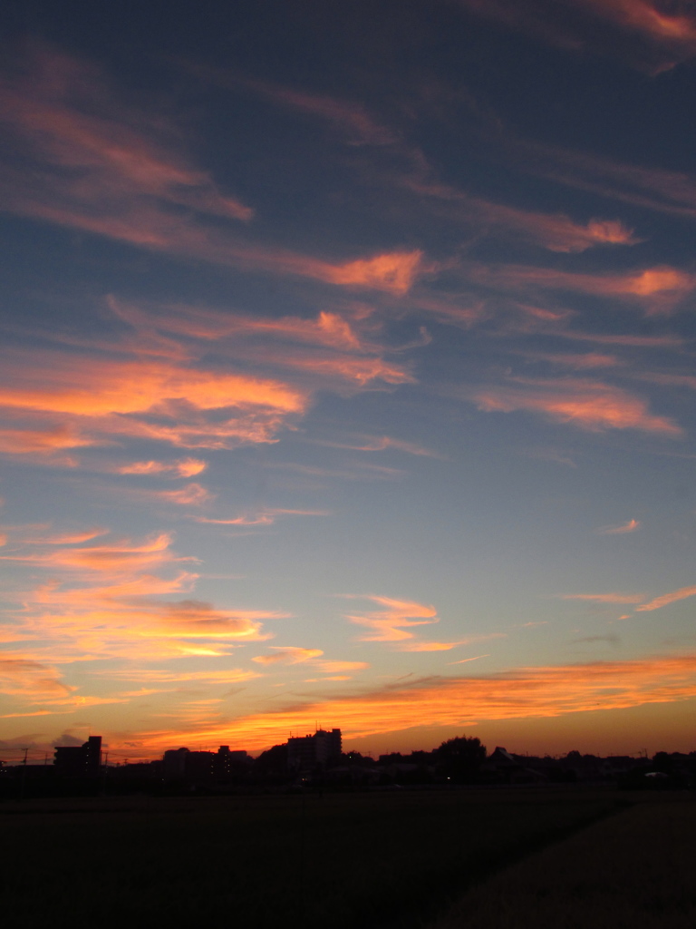 夕焼け空１