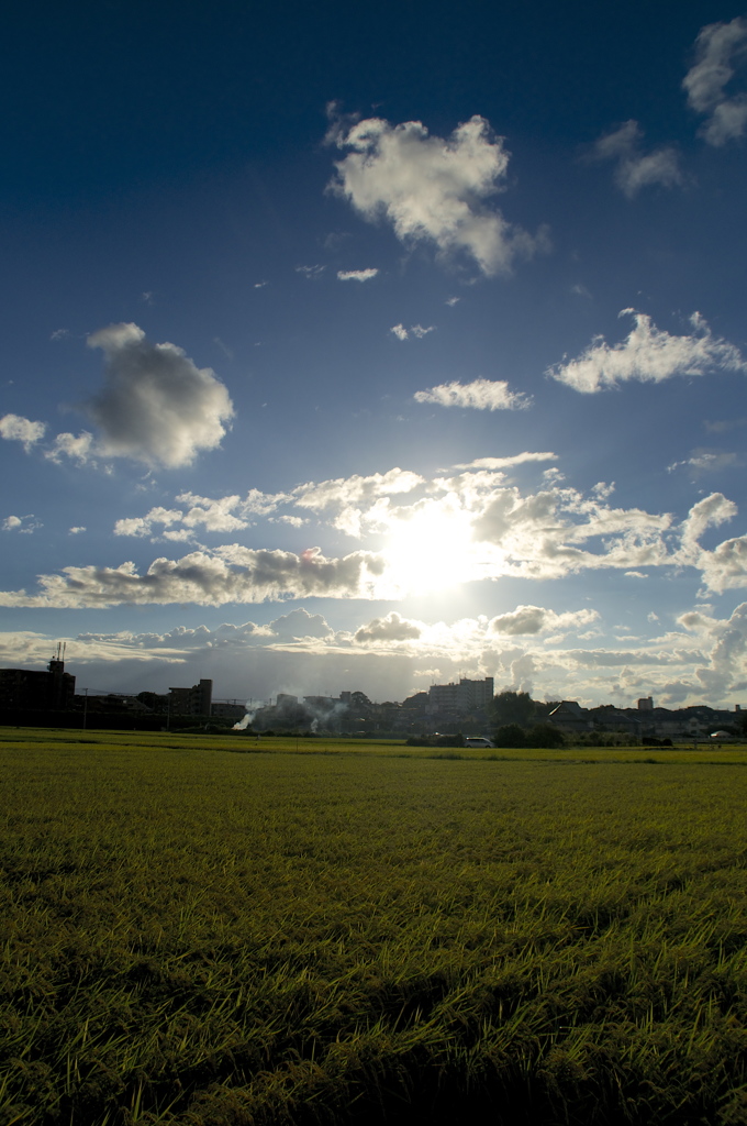 夕日前の空と田畑