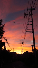 真っ赤な夕焼け