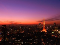 大都会の夕景