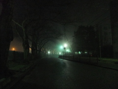 夜霧