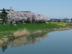 綾瀬川