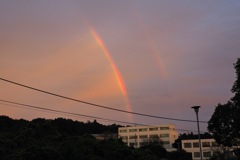夜明けの虹