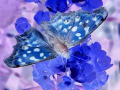 ネガティブ思考２