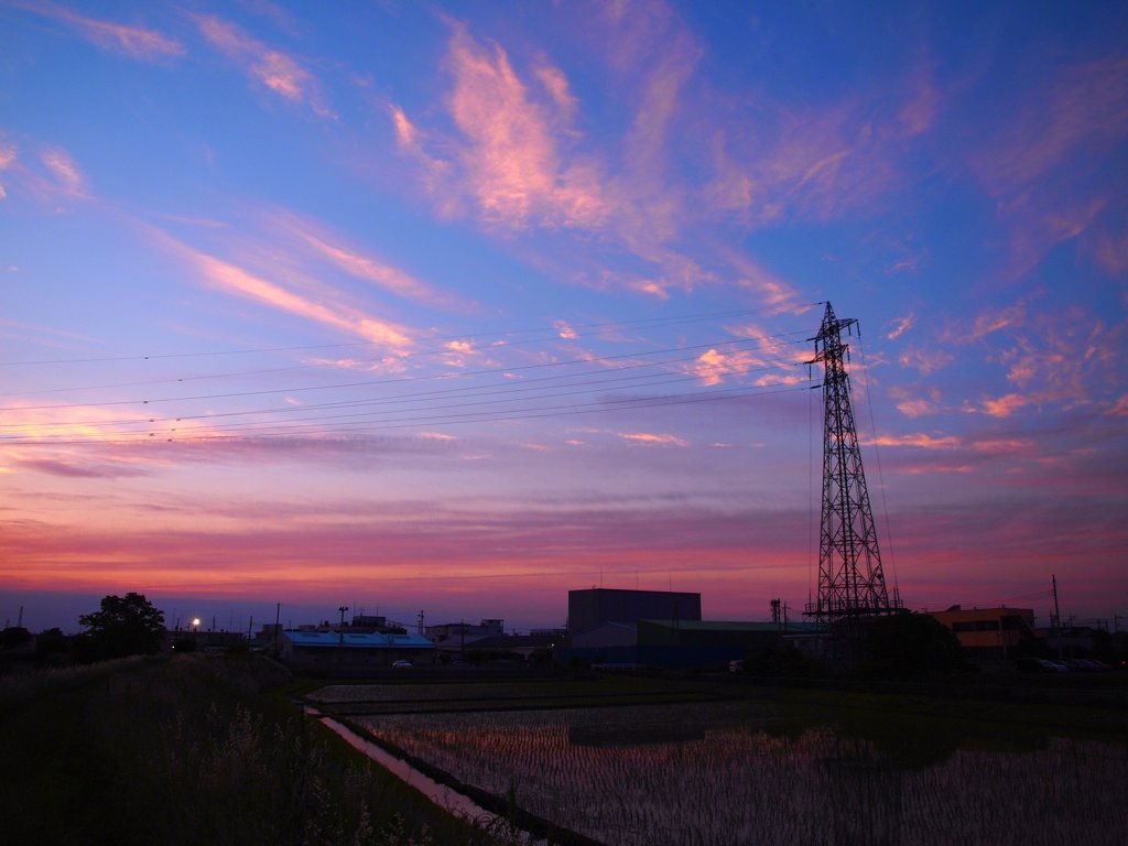 夕暮れの鉄塔