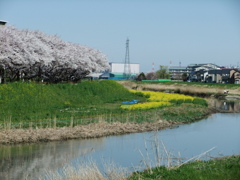 綾瀬川