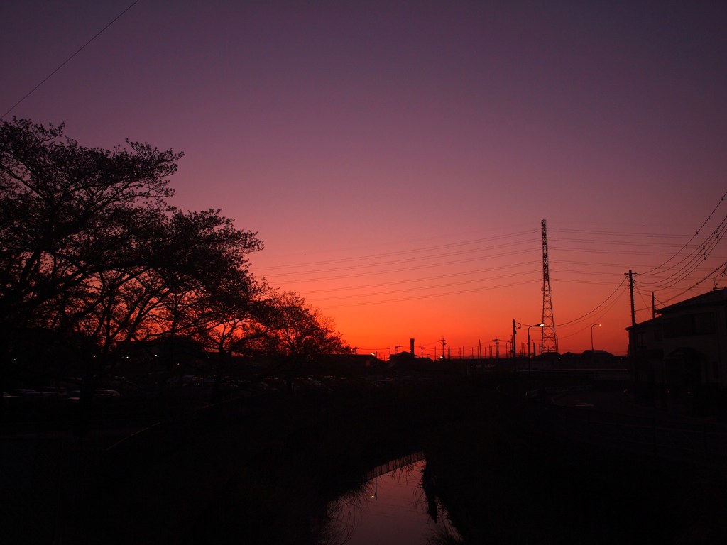 春の夜明け