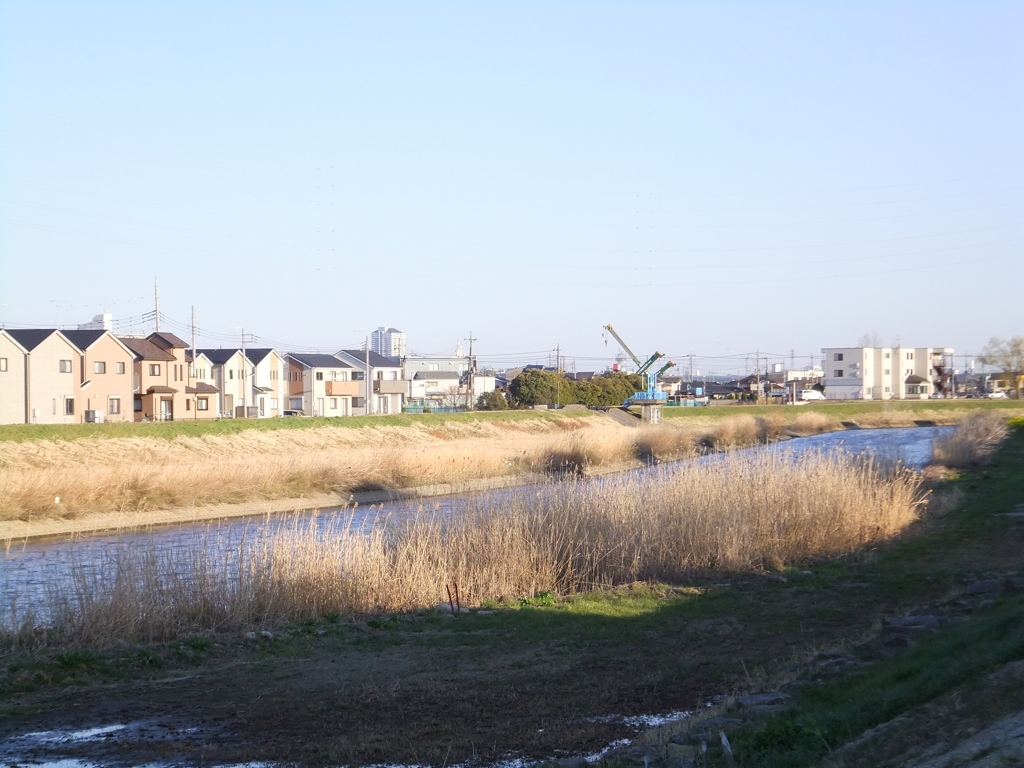 綾瀬川