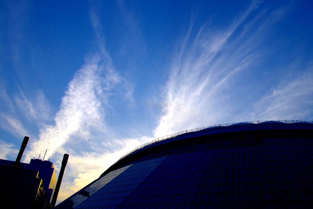Tokyo Dome2