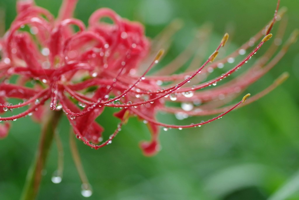 Rain day