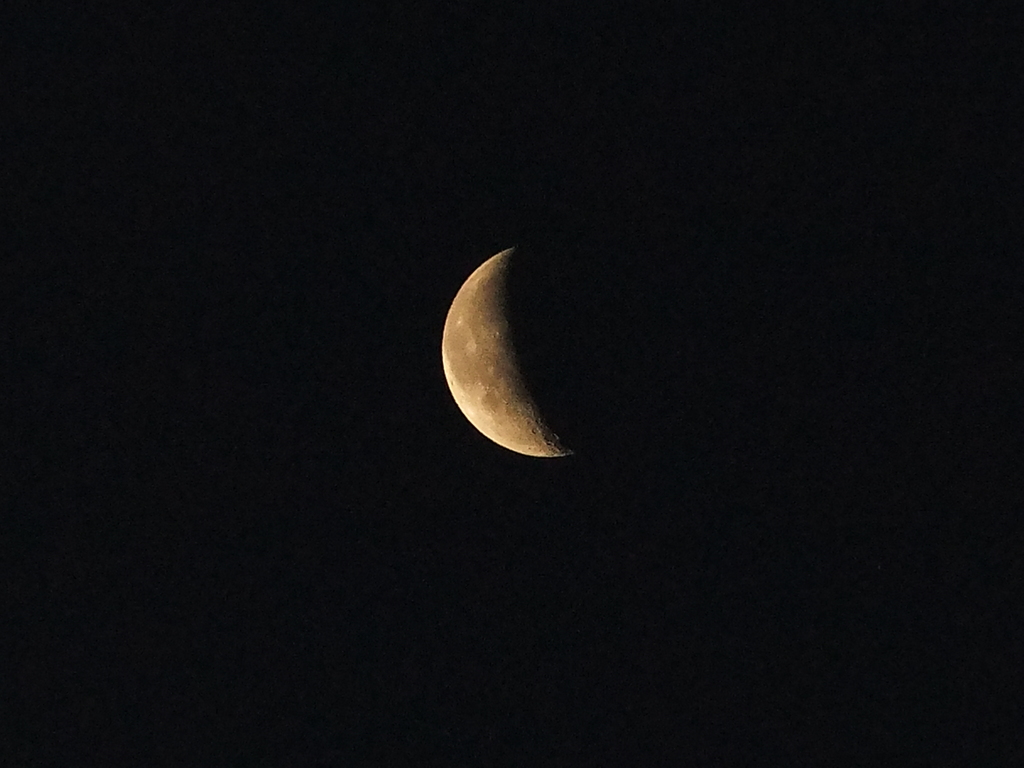 夜明けの月
