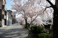 川端通にて