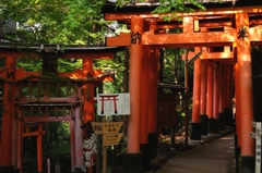 山中