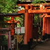 山中