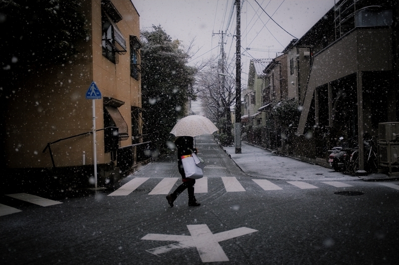 2013初雪